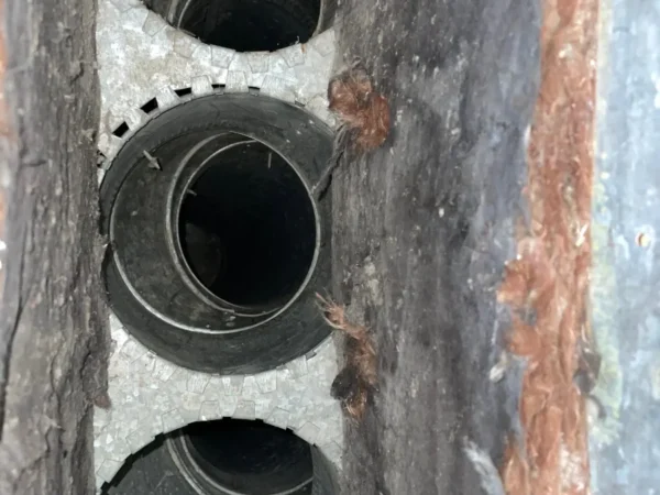 case-air-duct-4-after The same duct openings after cleaning