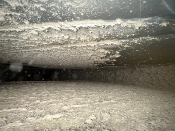 Air duct before cleaning - a solid mat of dust covering the walls