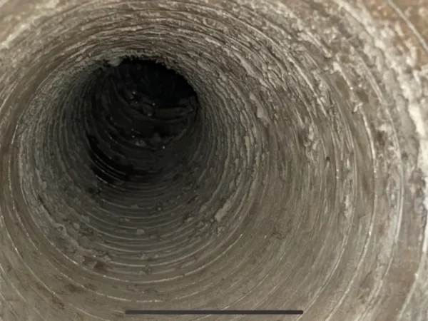 case-dryer-vent-before Flexible dryer vent line before cleaning - lint build-up